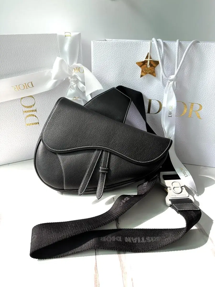 Christian Dior SADDLE Saddle bag (1ADPO093YKK_H00N)