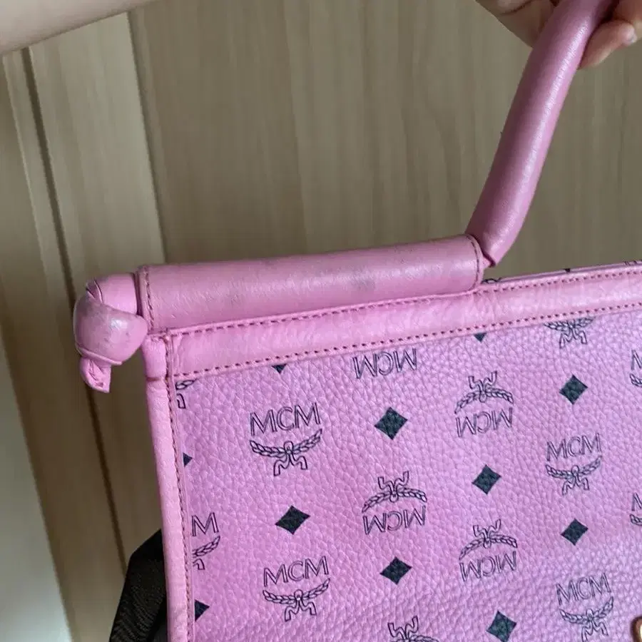 정품 MCM 애견 펫 캐리어