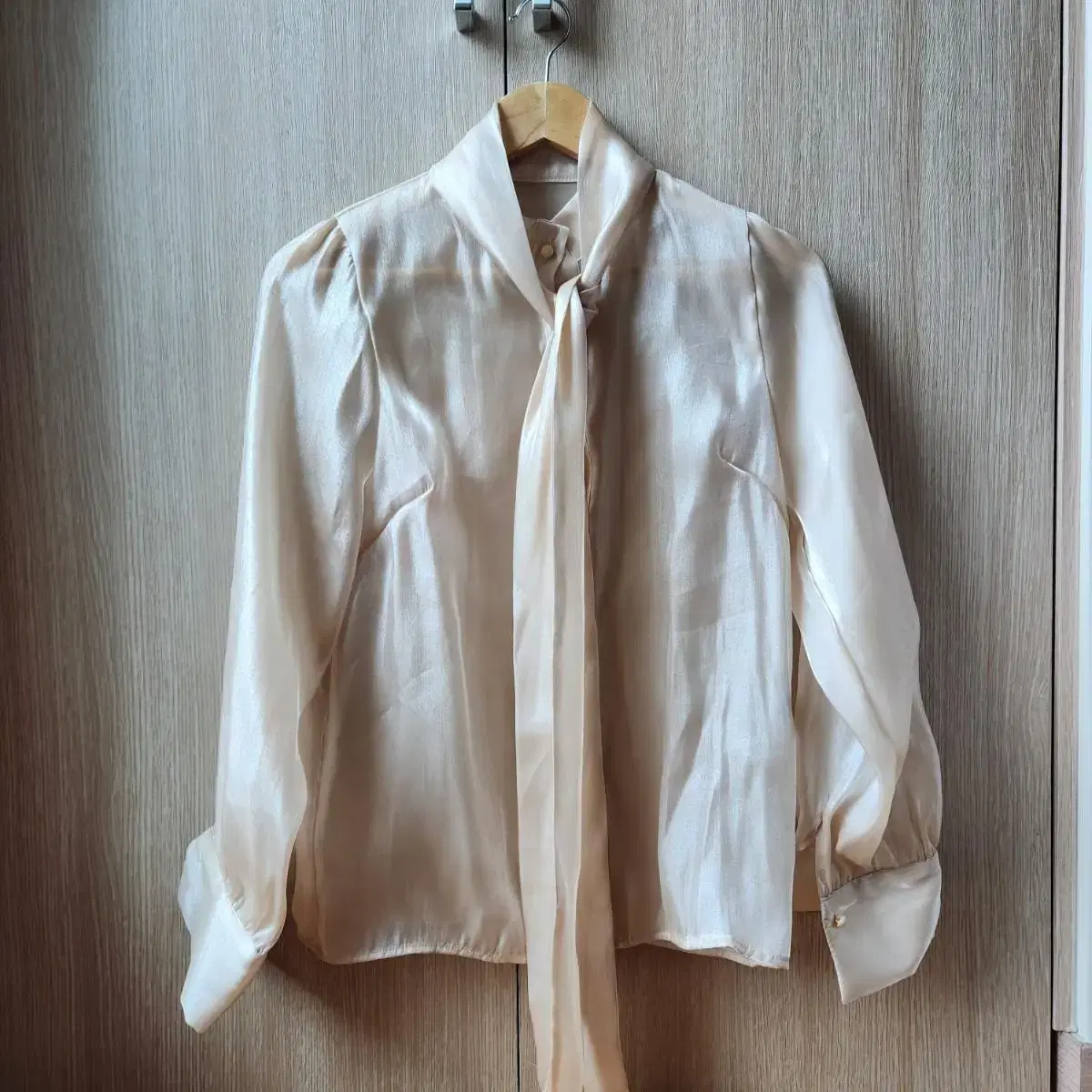 Olivia Glossy Organza Blouse in Beige