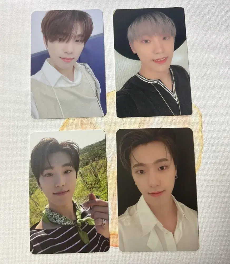 Seventeen dino photocard