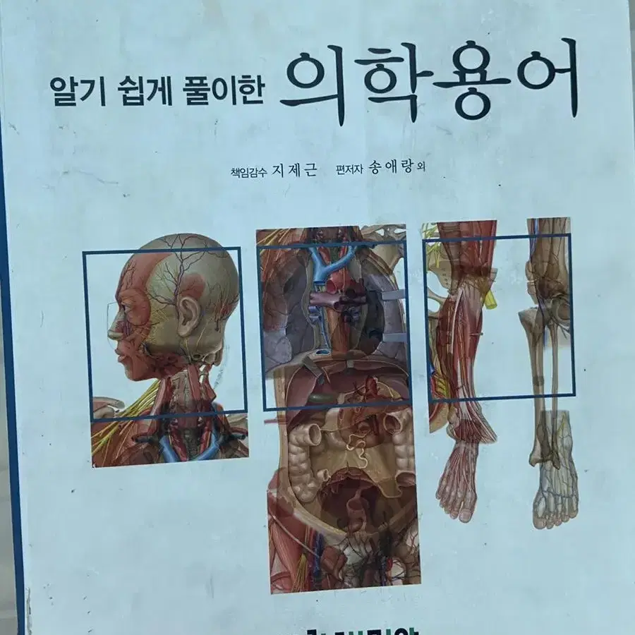 알기쉽게풀이한의학용어