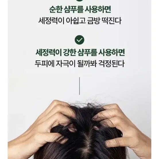 려 본초진 시카 샴푸