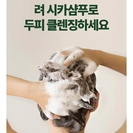 려 본초진 시카 샴푸