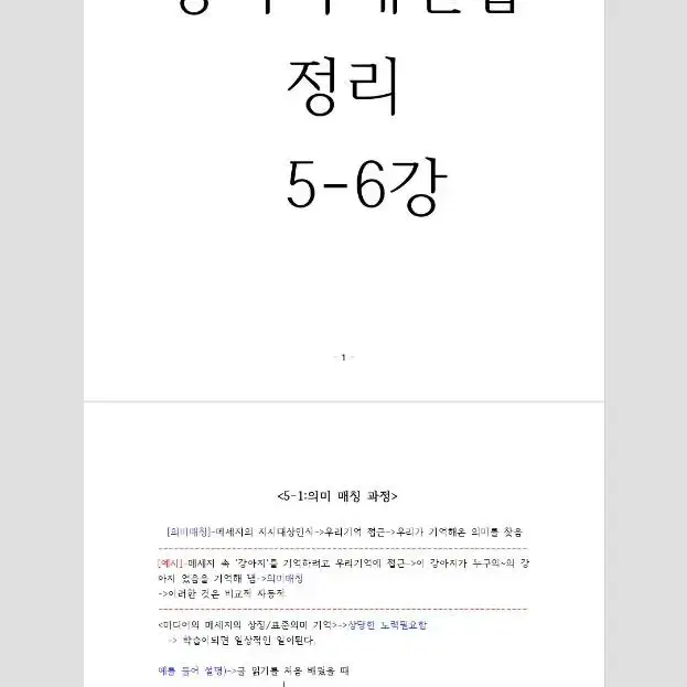 수능특강 라이트 영어독해연습 내용 정리 자료(5강) 판매