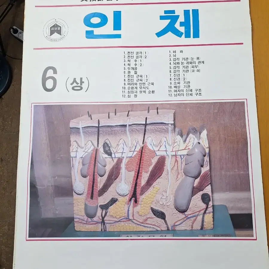 근대사 수집 국민학교 학습 교육 자료