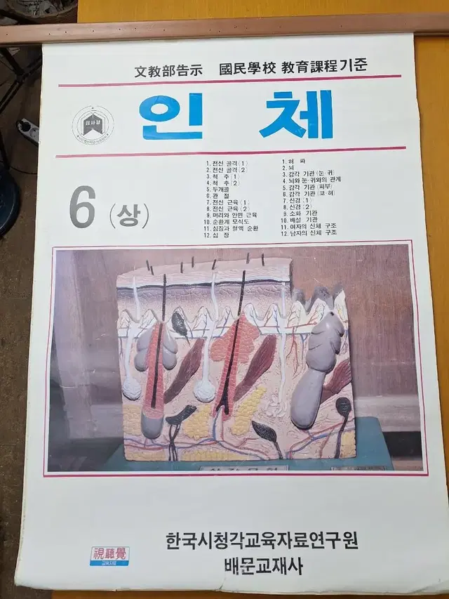 근대사 수집 국민학교 학습 교육 자료