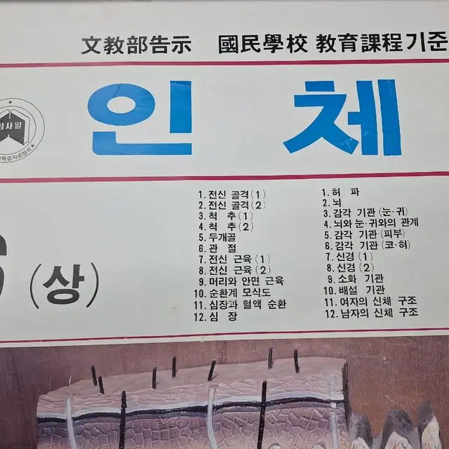 근대사 수집 국민학교 학습 교육 자료