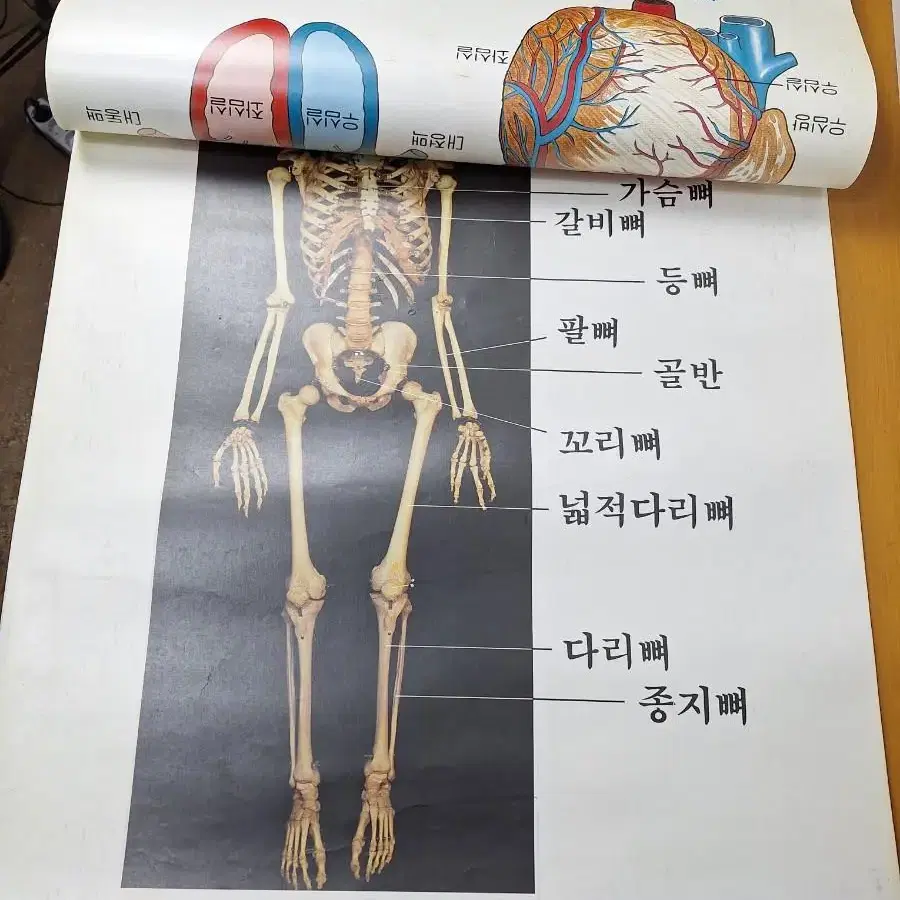 근대사 수집 국민학교 학습 교육 자료