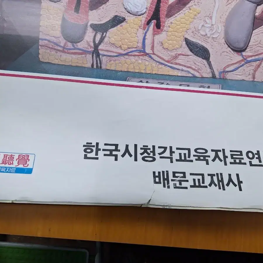 근대사 수집 국민학교 학습 교육 자료