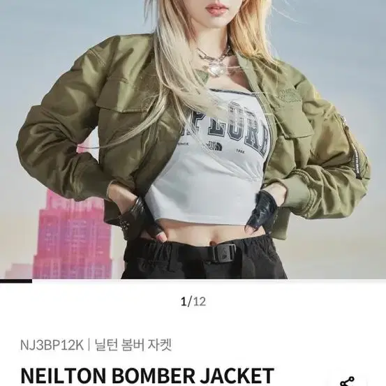 더노스페이스 NEILTON BOMBER JACKET