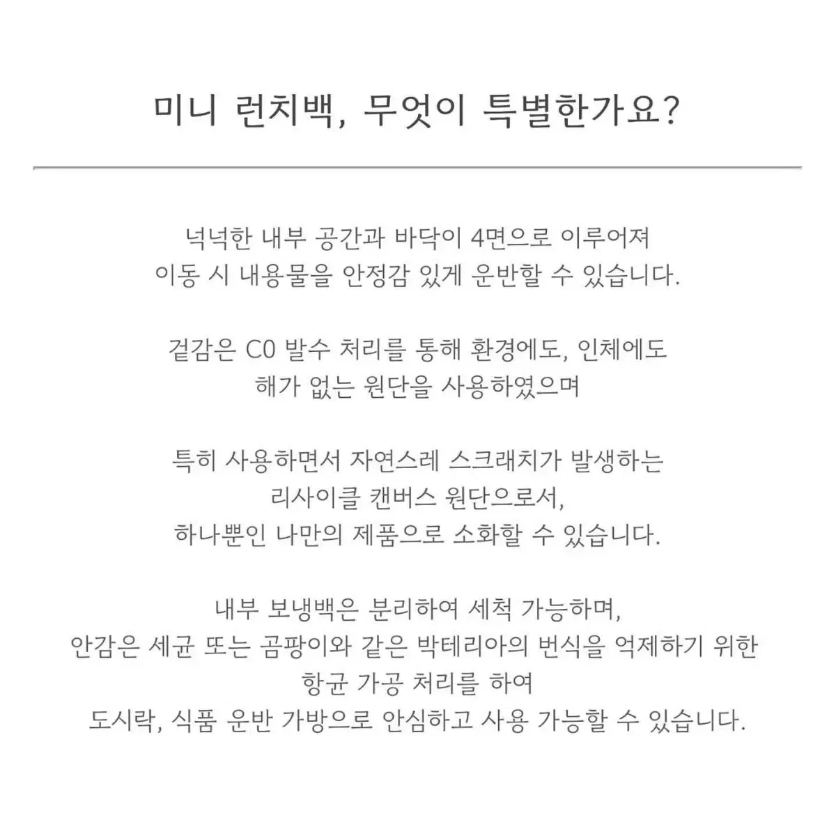 원리추얼 x 디디미니 캔버스 런치백 미니 블랙 (에코백, 보냉백)