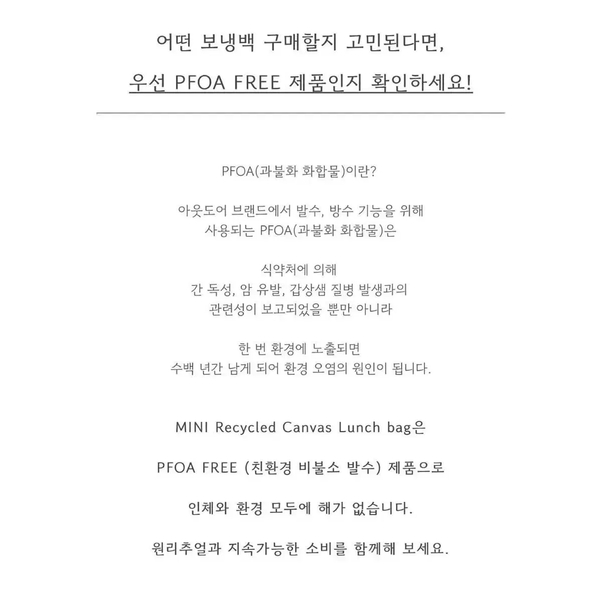 원리추얼 x 디디미니 캔버스 런치백 미니 블랙 (에코백, 보냉백)