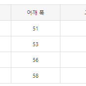 [해외] 베이프 에이프 롱슬리브 체크 셔츠 23FW