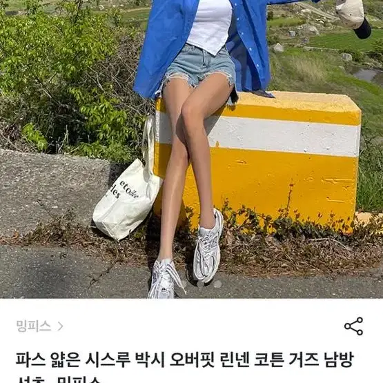 브랜디 밍피스 시스루 남방셔츠