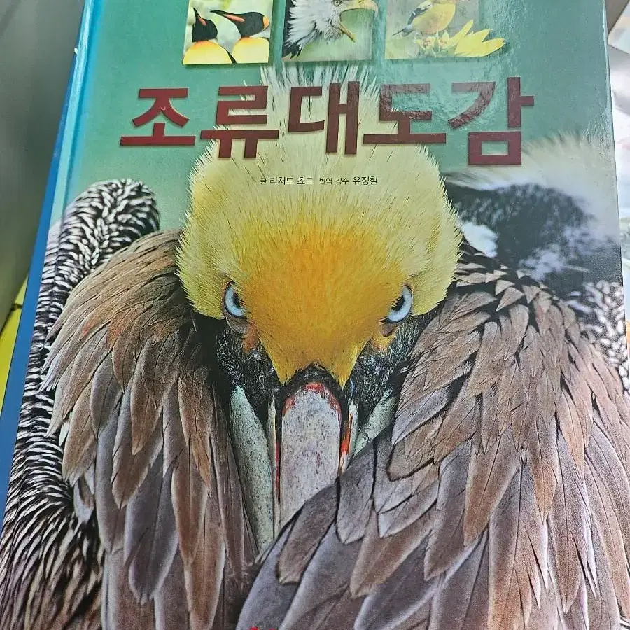 대도감4권