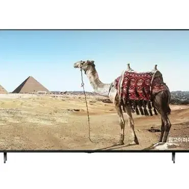 LG 75인치  QLED TV