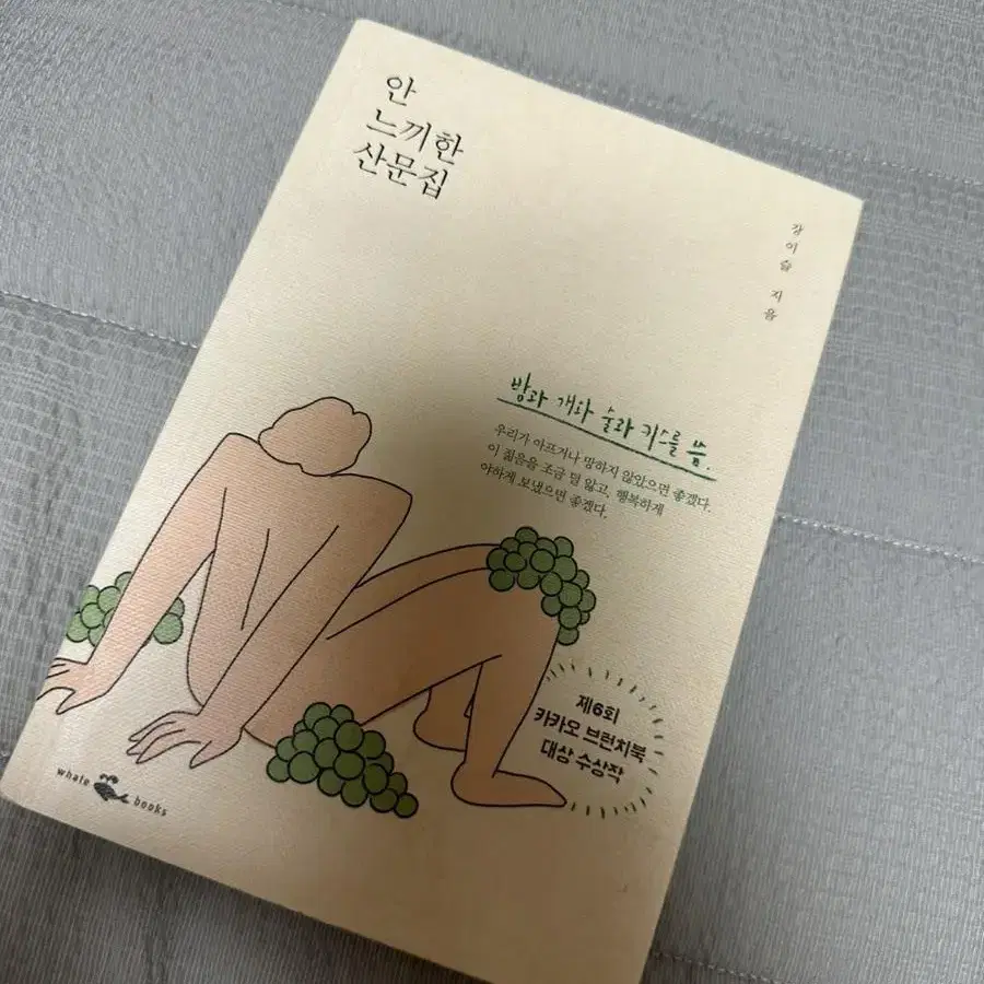 안 느끼한 산문집