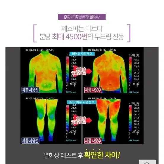 제스파 진동맛사지기 ZP1530