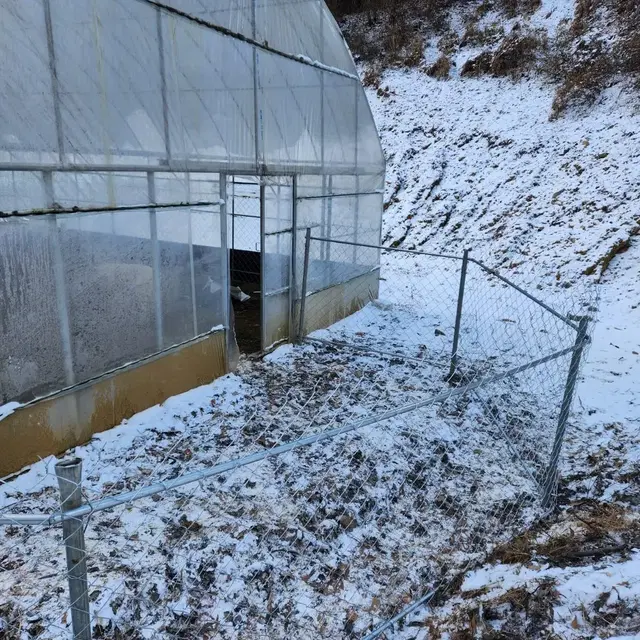 염소울타리, 멧돼지,고라니방지 울타리 휀스