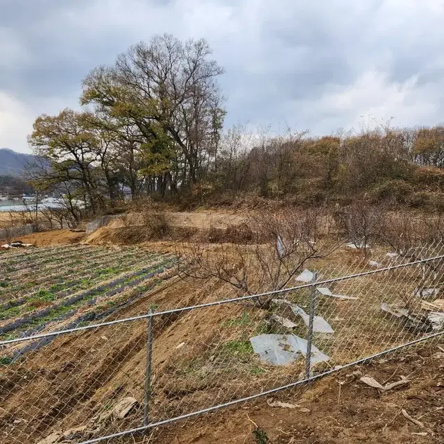 염소울타리, 멧돼지,고라니방지 울타리 휀스