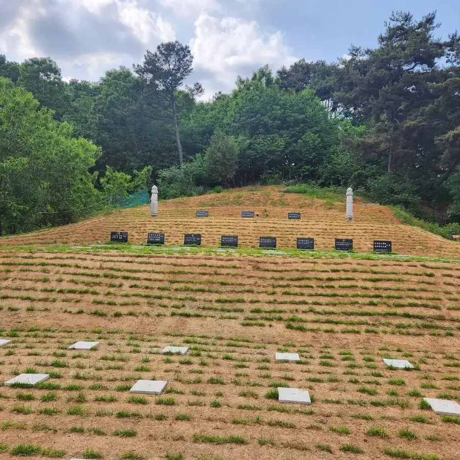 벌초 묘지이장 개장 사초 비석 산소관리전문