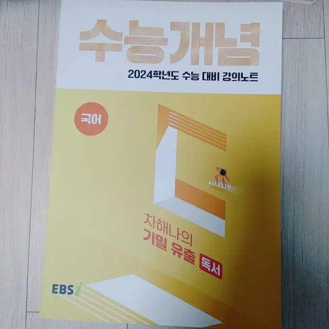 ebs 2024 수능개념 차해나 독서