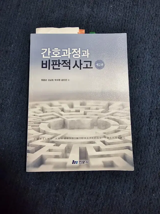 현문사 간호과정과 비판적사고 제2판