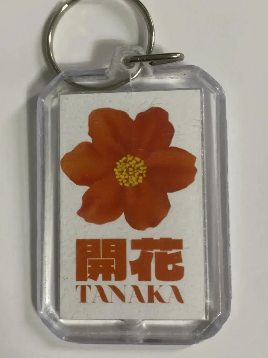 Tanaka keyring sells