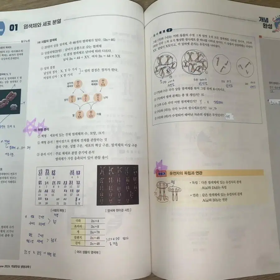 백호 개념완성 풀세트