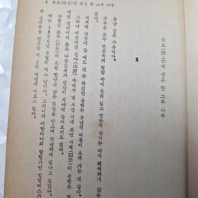 고전도서 영화 초판 81년  소설 내모든것을다주어도