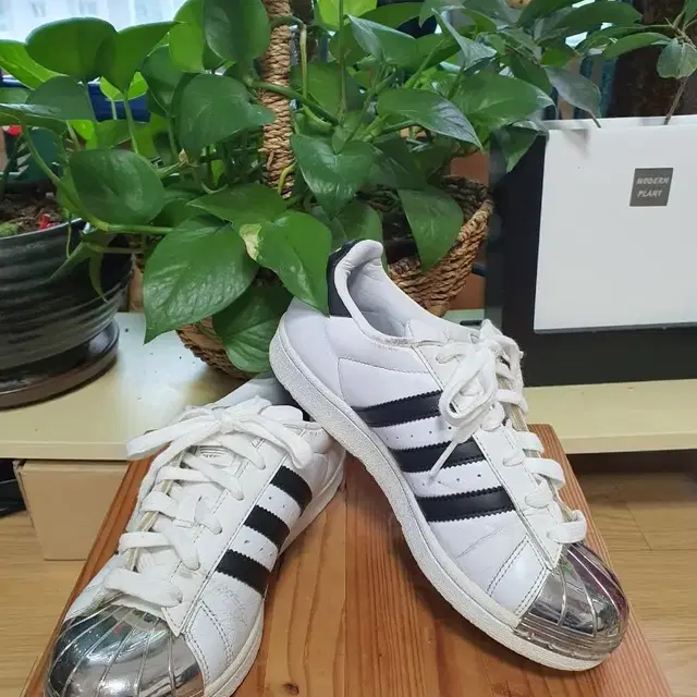 adidas 아디다스 슈퍼스타 메탈 토 화이트 흰검225-230