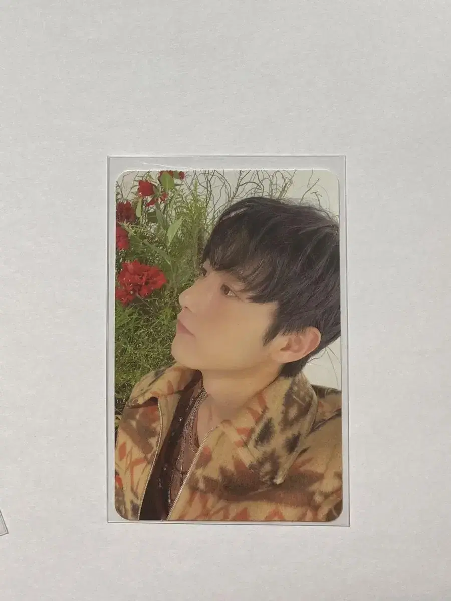 SMCU Organization PALACE renjun photocard