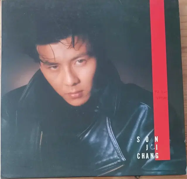 손지창 LP MINT 1집 - 내가 너를 느끼듯이 혼자만의 비밀