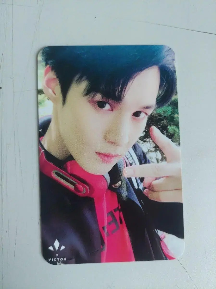 VICTION lim sejun Oewolae GongbangPhotocard WTS