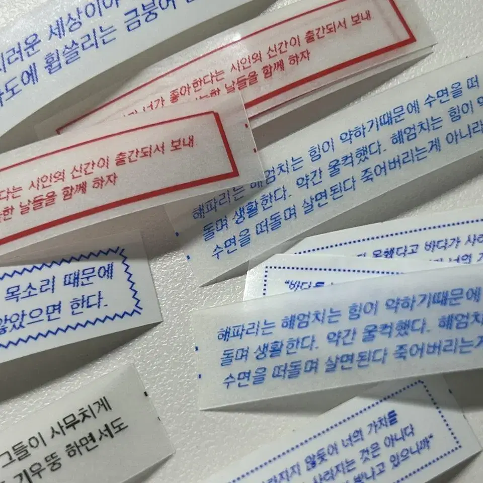 여름에게 닿는다면 라벨스티커 10개입