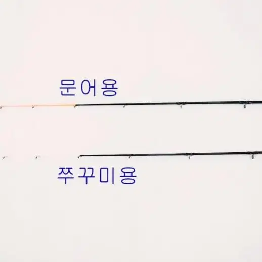 (632)쭈꾸미,갑오징어,준내만갈치(초릿대2개)+베이트릴+합사