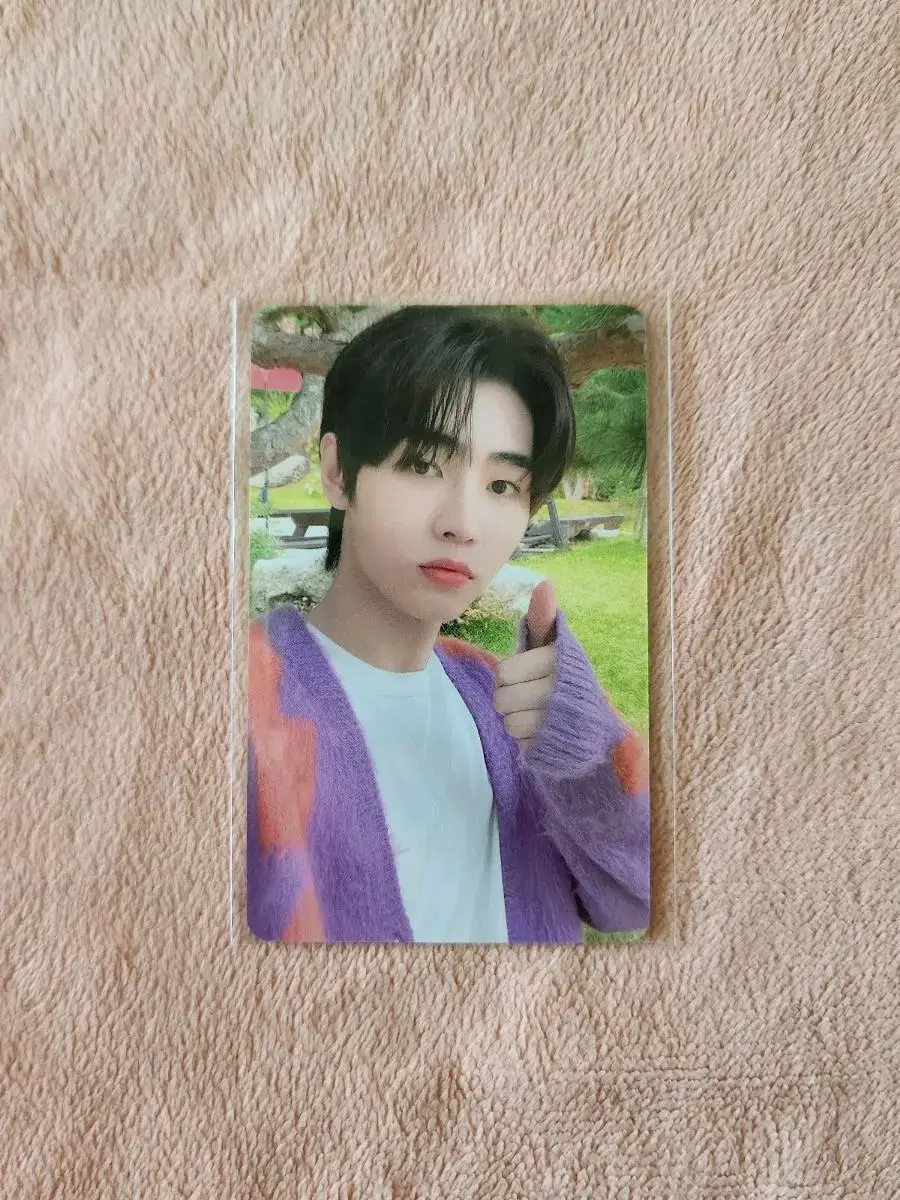 enhypen seasonal photocard sunghoon wts