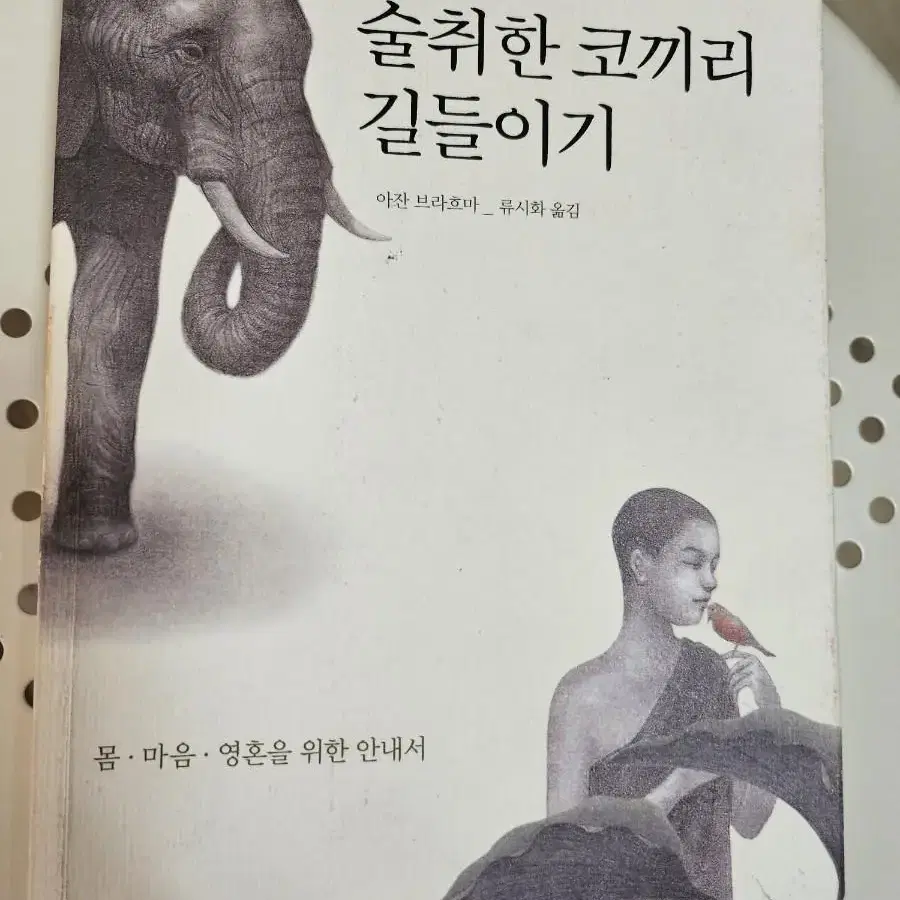 술 취한 코끼리 길들이기