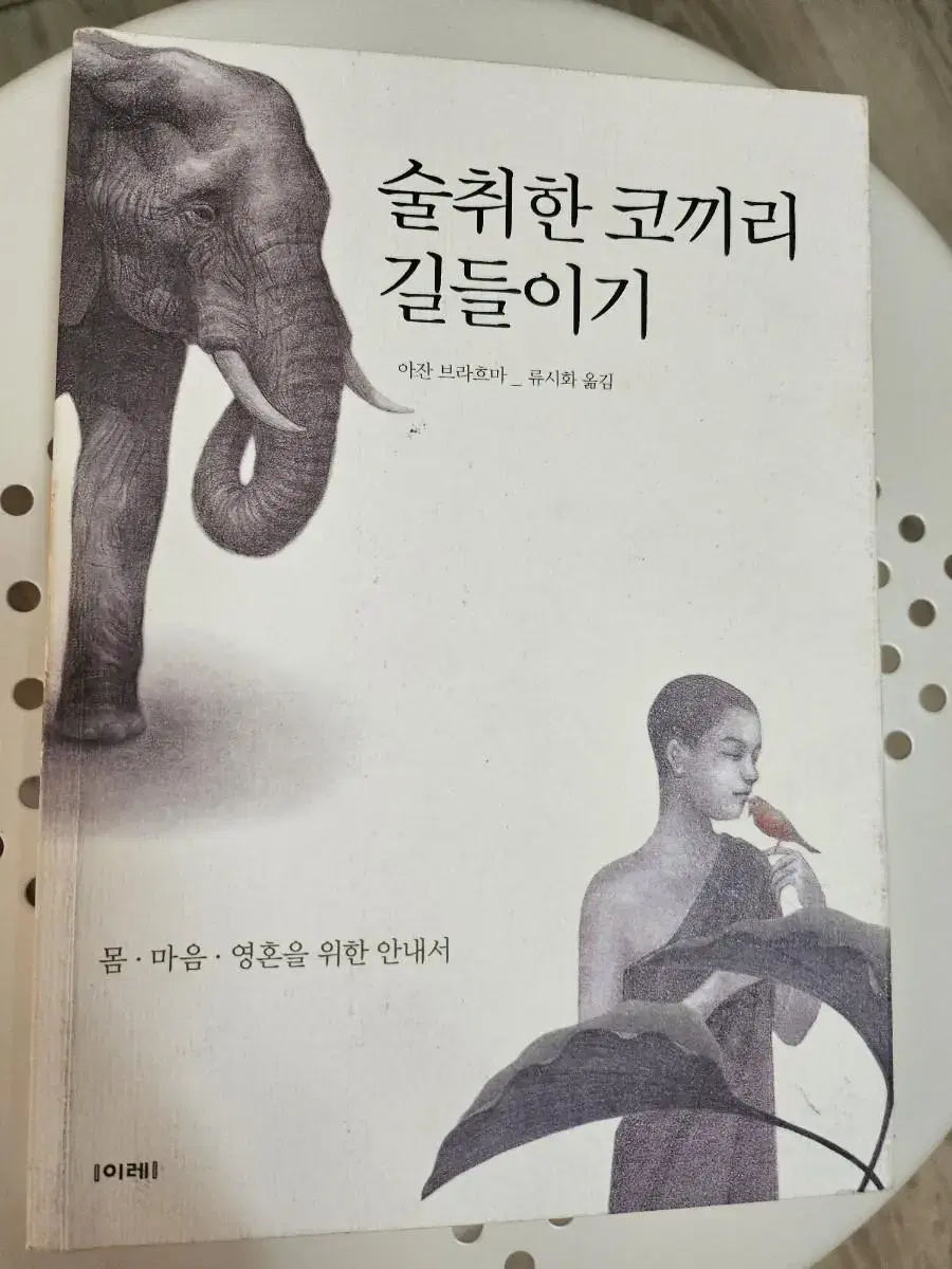 술 취한 코끼리 길들이기