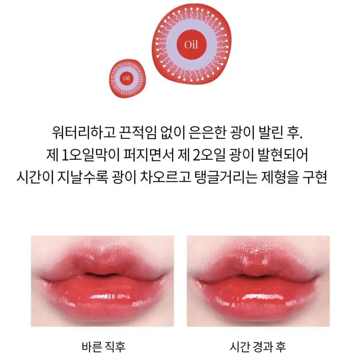 새상품) 필러 맞은 입술같이 사과빛 통통 과즙 립 틴트