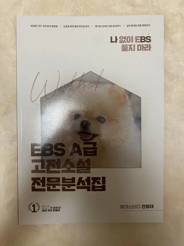 전형태 Ebs 고전소설 전문분석집