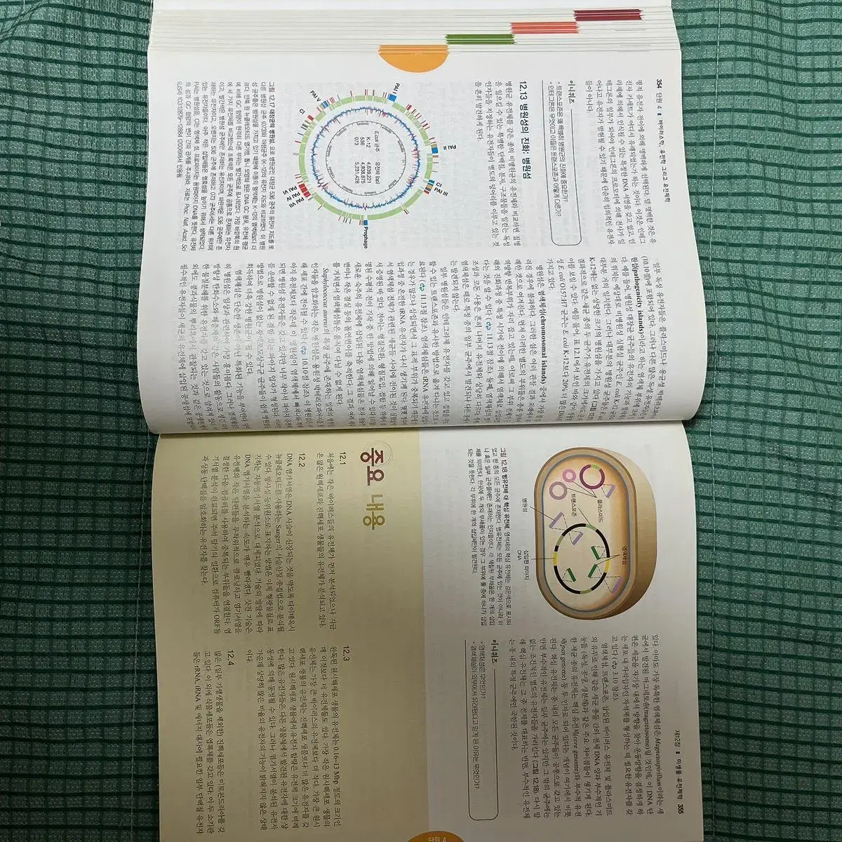 Brock의 핵심미생물학 biology of microorganisms