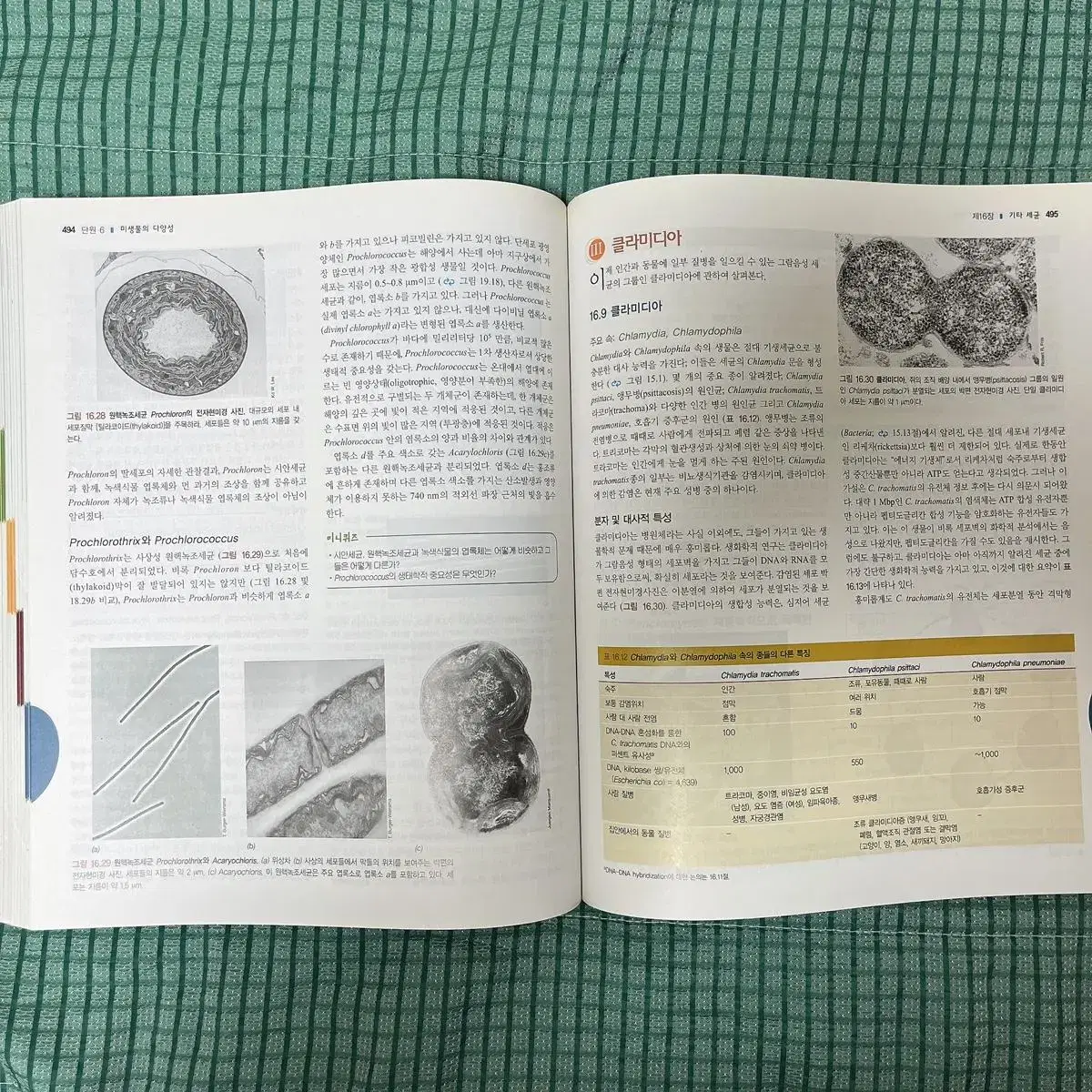 Brock의 핵심미생물학 biology of microorganisms