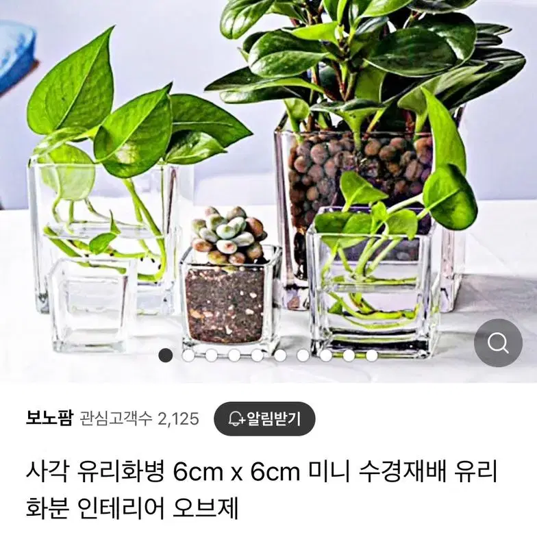 [새상품] 사각 유리 미니 화분 6cm 3개