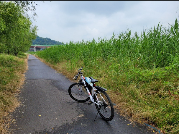 닥터바이크 MTB 자전거 판매