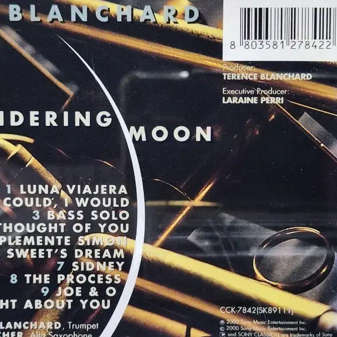 테렌스 블랜차드 CD - wandering moon