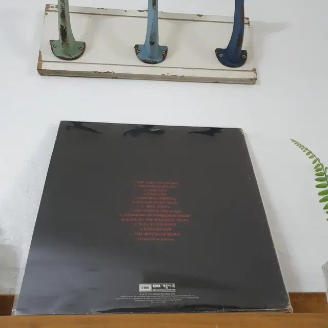 이니그마 LP