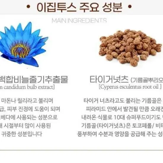 테소리 도리엔테 아로마틱 이집투스