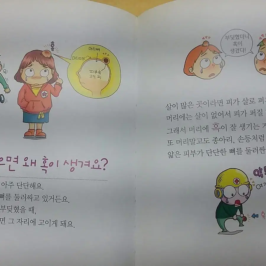 여러출판사 백과 모음