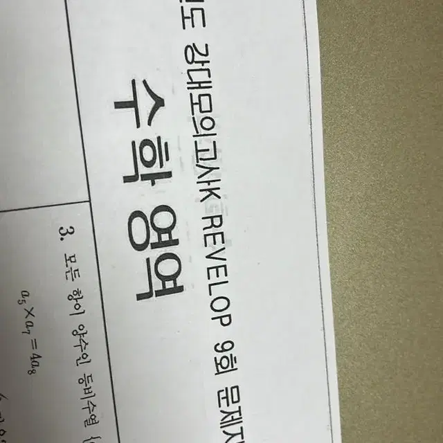 강대k 리벨롭 9회 답지